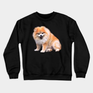 Cute Laughing Pomeranian Dog Crewneck Sweatshirt